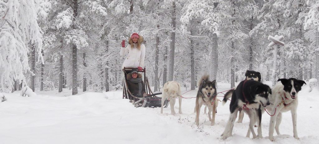 Descubre Laponia y haz un viaje en trineo acompañado de los huskies