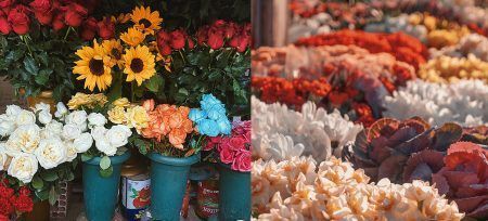 Columbia Road Flower Market | Unitrips