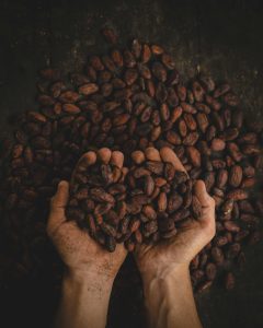foto manos con granos de cacao